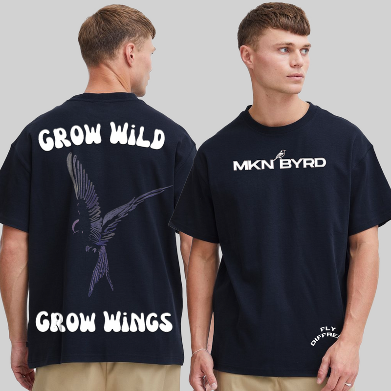 The Winged Spirit